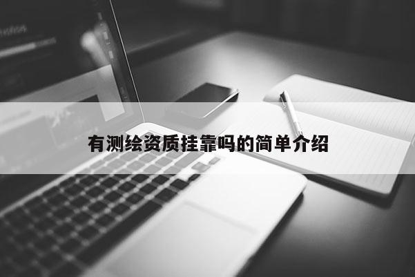 有測繪資質掛靠嗎的簡單介紹