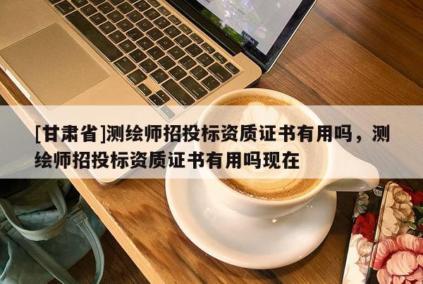 [甘肅省]測繪師招投標資質證書有用嗎，測繪師招投標資質證書有用嗎現在