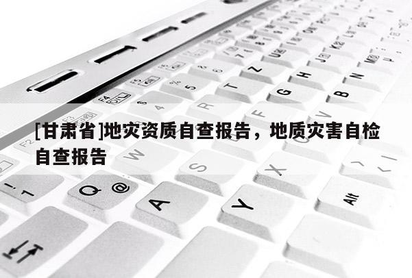 [甘肅省]地災資質自查報告，地質災害自檢自查報告