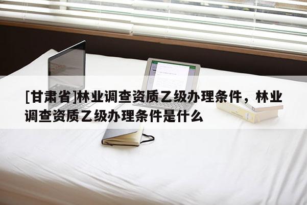 [甘肅省]林業(yè)調(diào)查資質(zhì)乙級辦理條件，林業(yè)調(diào)查資質(zhì)乙級辦理條件是什么