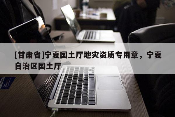 [甘肅省]寧夏國土廳地災資質專用章，寧夏自治區國土廳