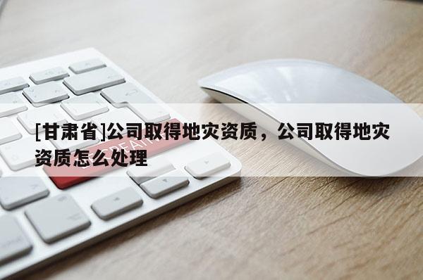 [甘肅省]公司取得地災資質，公司取得地災資質怎么處理