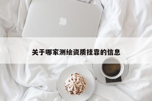 關于哪家測繪資質掛靠的信息