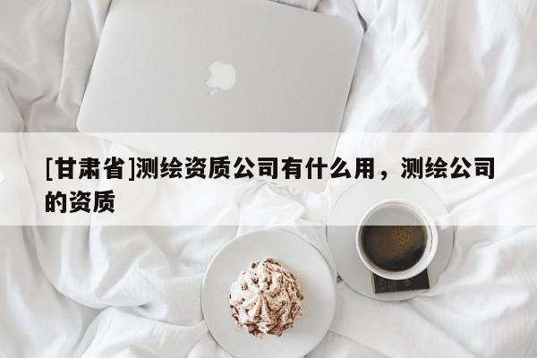 [甘肅省]測繪資質公司有什么用，測繪公司的資質